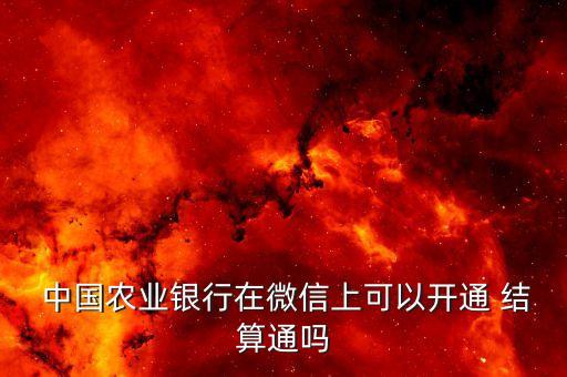 中国农业银行结算通是什么