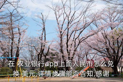 在 农业银行app上面人民币怎么兑换 美元,详情步骤能否告知,感谢