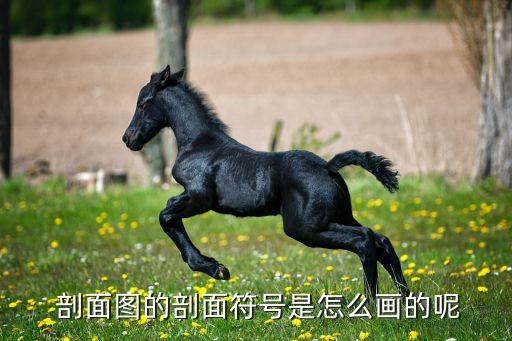 复合农业剖面图怎么画