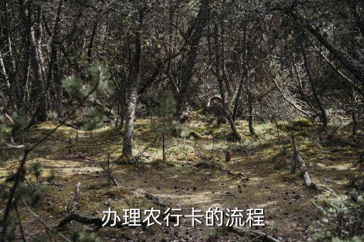 农业银行办卡怎么办理,怎么去农业银行办卡