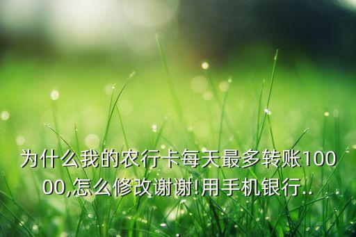 为什么我的农行卡每天最多转账10000,怎么修改谢谢!用手机银行...