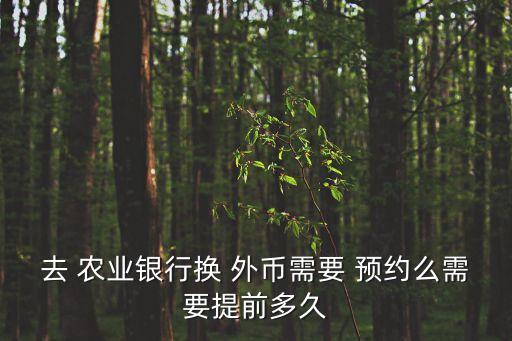 农业银行兑换外币怎么预约,乡镇农业银行可以兑换外币吗