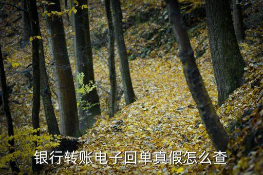 农业银行流水怎么验证真假
