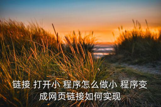 轩辕农业小程序怎么样打开