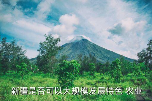 近几年新疆农业怎么样