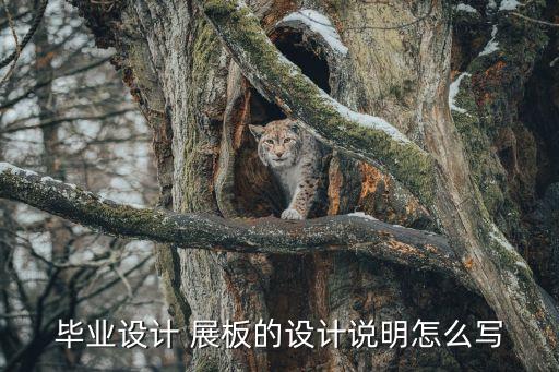 毕业设计 展板的设计说明怎么写