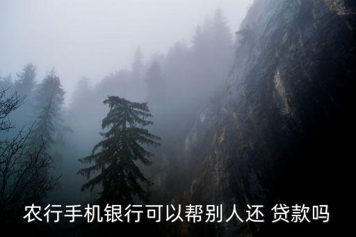 农业银行贷款怎么用微信还,老公农业银行贷款妻子信征要查吗