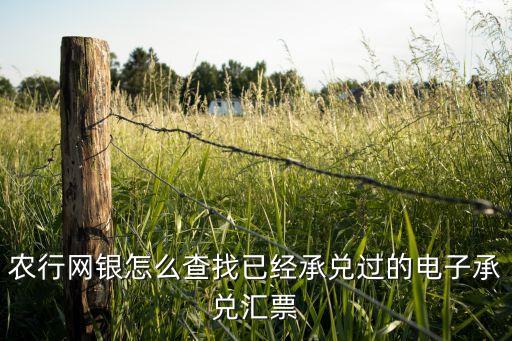 中国农业票据怎么查询