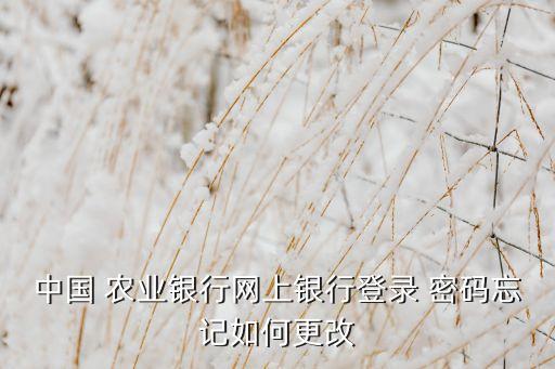 农业银行怎么密码修改,手机农业银行怎么改密码修改
