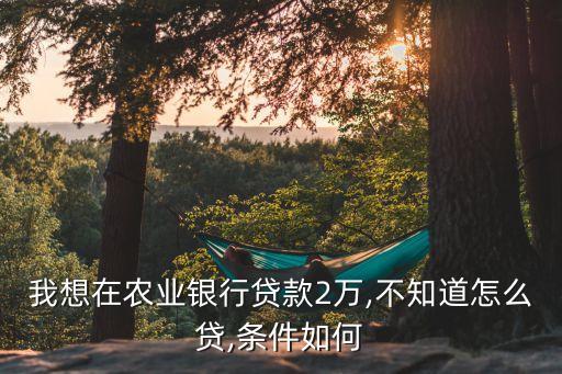 中国农业银行怎么借钱