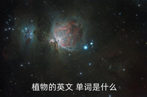 农业植物的单词怎么写英语