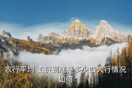 南充农业银行工资怎么样,农业银行的工资流水图片是怎么样的