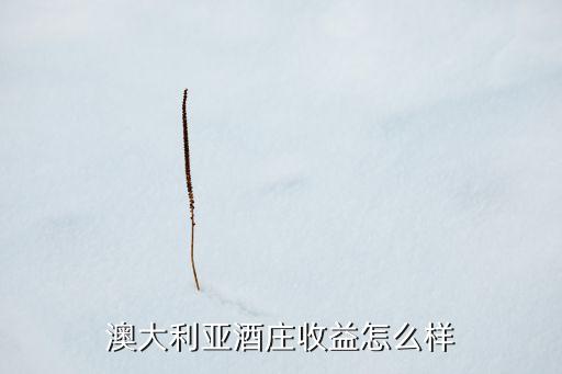澳洲农业业绩怎么算的啊