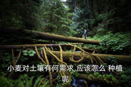 迷你农业怎么种植,迷你世界怎么快速种植
