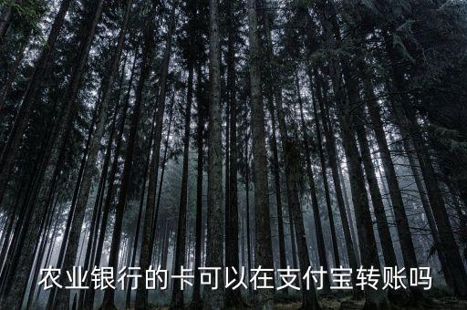 农业银行怎么转余额宝