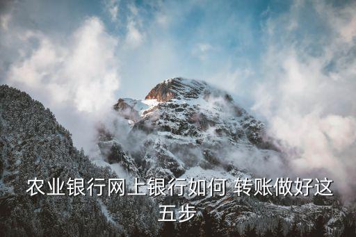 农业银行转账给他人怎么转,别人往我农业银行转账转不了