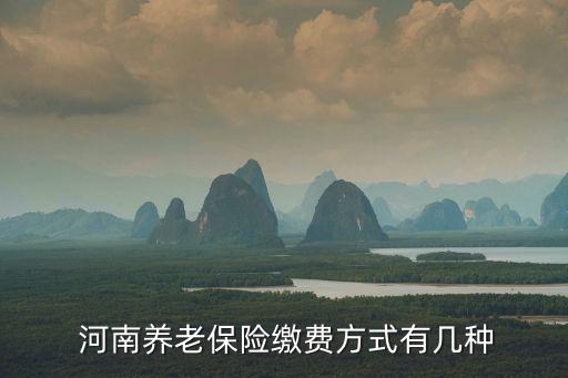 河南农业社保怎么交,河南社保一个月交多少钱
