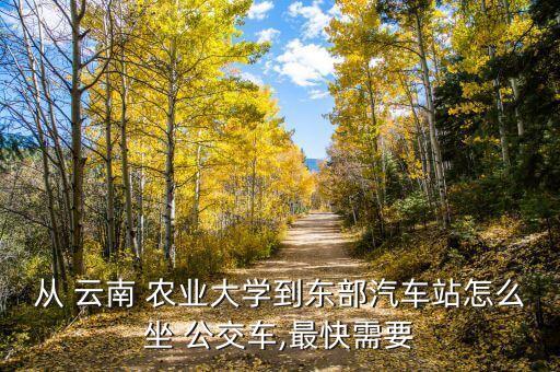 云南农业大学怎么乘公交