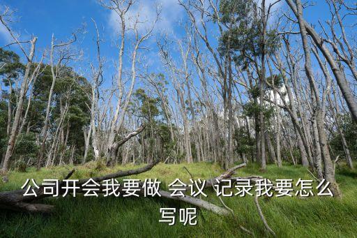 农业保险会议记录怎么写,组织生活会会议记录内容怎么写