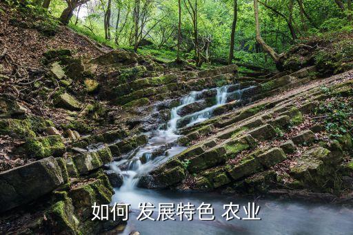 农业产业园区怎么发展