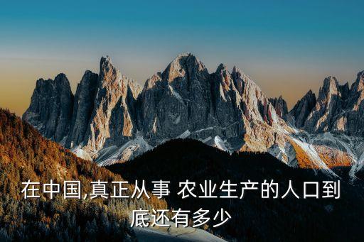 农业项目完成人数怎么算