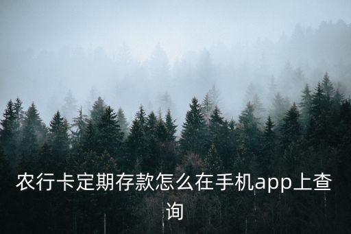 农业银行怎么查定存