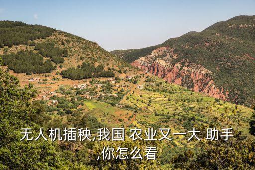 农业助手圈怎么样