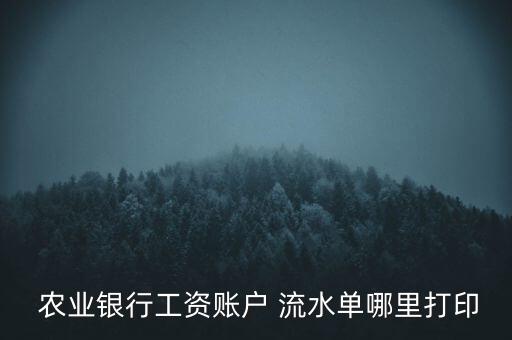 农业银怎么刷流水,农业APP怎么打流水