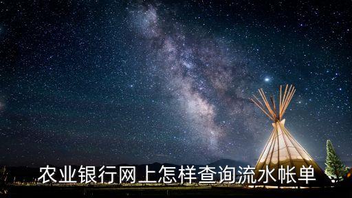 农业银行电子账单怎么看,怎么看农业银行信用卡账单