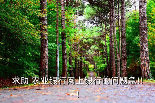 求助 农业银行网上银行的问题急!!!
