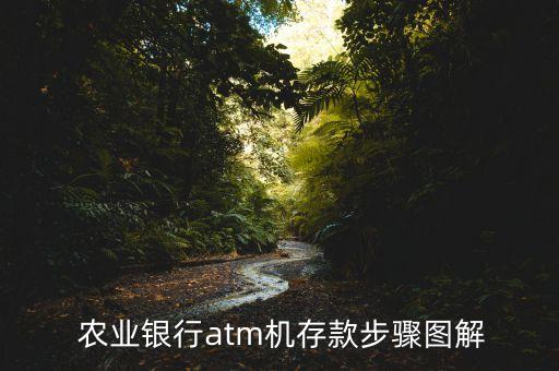 杭州农业银行怎么存钱进去,农业银行信用卡存钱进去了还能取出来吗?