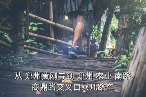 去郑州农业南路怎么走,中原银行郑州农业南路支行