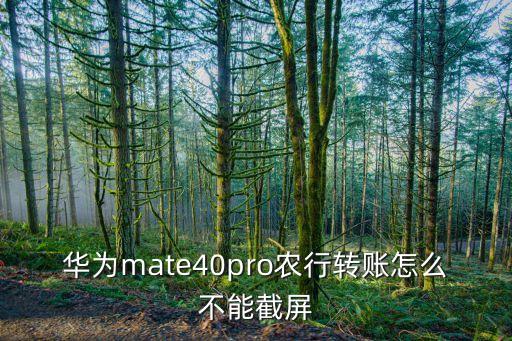农业银行app怎么截图