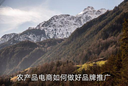 农业产品品牌怎么制作,培育农业产品品牌