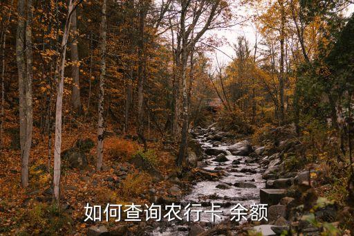 农业银行的卡余额怎么查