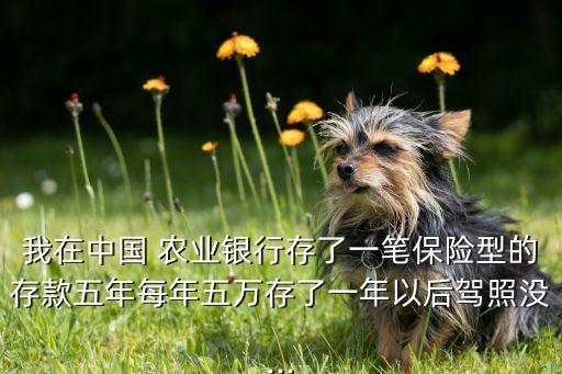 小车撞入农业银行怎么赔偿