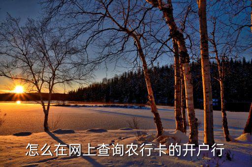 农业银行支行名称怎么查,手机农业银行怎么查开户行支行名称