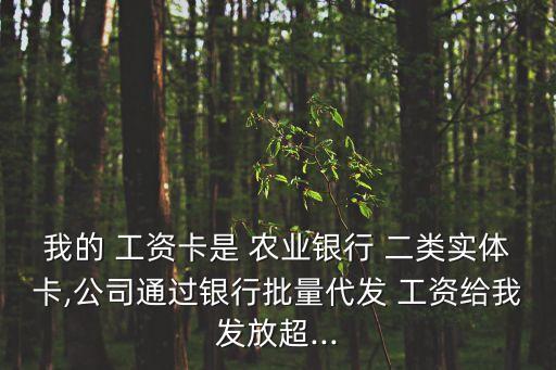 农业二类卡怎么收工资