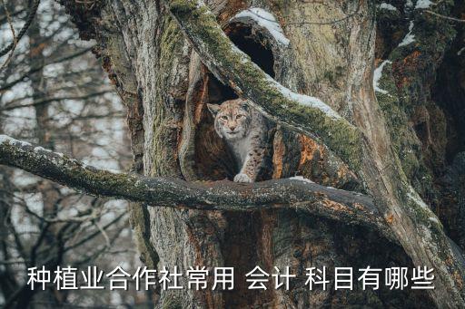 农业企业会计科目怎么设置,企业不可以自行设置会计科目