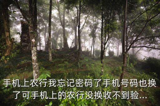 农业银行换号了怎么登,换手机登录农业银行怎么登不了了
