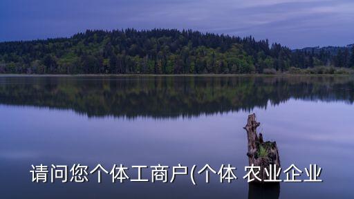 农业项目经费建账怎么做