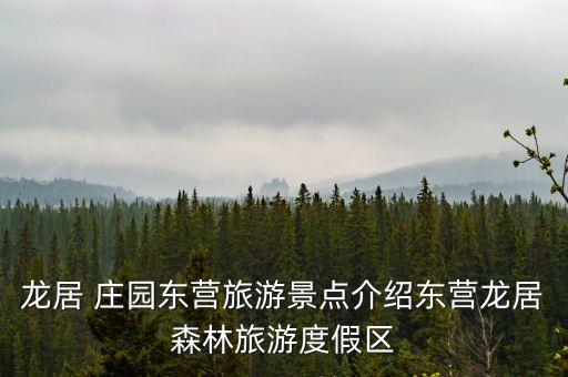 农业庄园怎么用手机开启