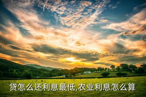 农业贷怎么还利息最低,农业利息怎么算
