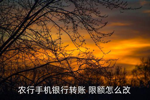河南农业银行限额怎么调整,农业银行每日消费限额调整