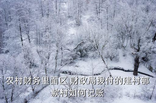 农业项目财政拨款怎么做账