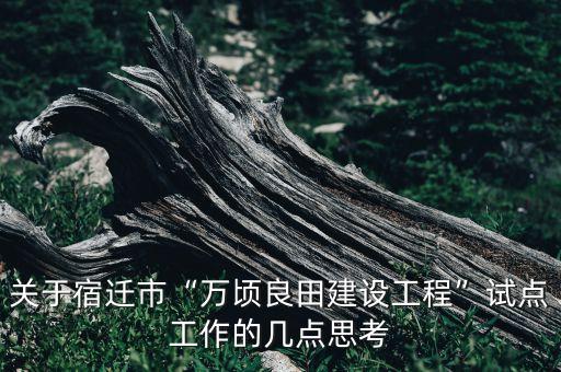 关于宿迁市“万顷良田建设工程”试点工作的几点思考