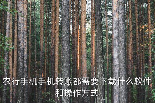 农行手机手机转账都需要下载什么软件和操作方式
