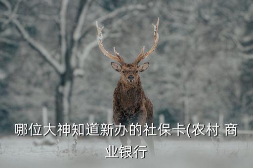 大丰农业商业银行怎么激活,农村商业银行可以激活农业银行卡吗