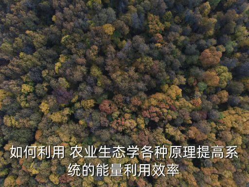 如何利用 农业生态学各种原理提高系统的能量利用效率