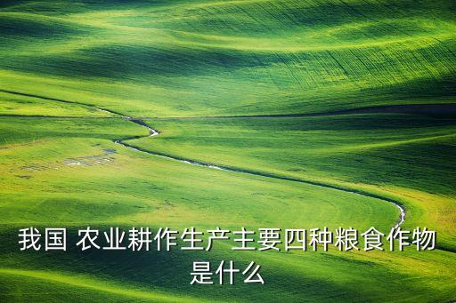 小麦属于什么农业,小麦207属于什么品种